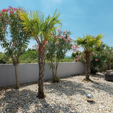 Apartment Malo Ferienvilla Privlaka, Pool, Boje, Wi-fi, Wallbox