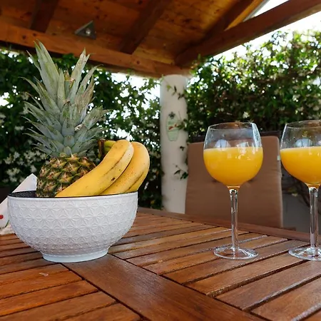 Malo Ferienvilla Privlaka, Pool, Boje, Wi-fi, Wallbox פריבלאקה