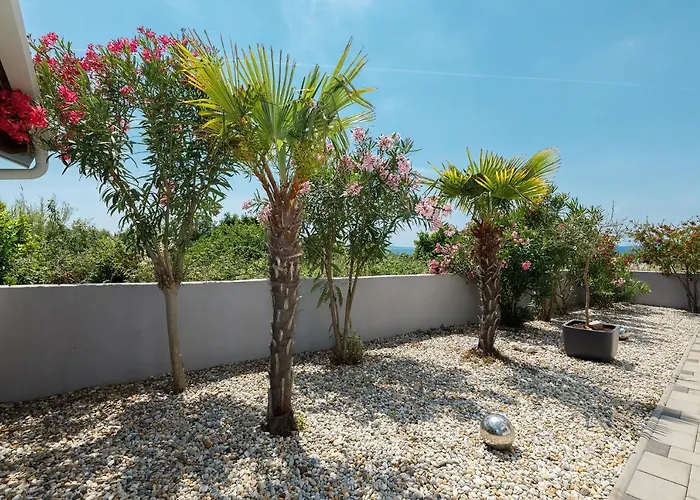 Lägenhet Malo Ferienvilla Privlaka, Pool, Boje, Wi-fi, Wallbox